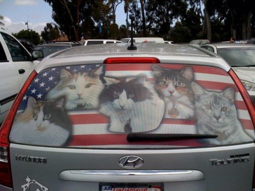 This is a photograph of the back of someone's vehicle on which they have a large decal of an American flag with several housecats in the foreground.